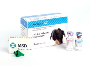 Kc 5 Dosis Msd Nobivac